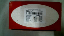 Load image into Gallery viewer, RIB RIBU2C ENCLOSED (2) RELAY 10-30VAC/DC 120VAC SPDT -FREE SHIPPING