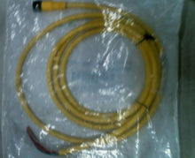 Load image into Gallery viewer, ALLEN BRADLEY 889R-F4AEA-2 QD CORDSET 4PIN AC MICRO 2 METER SER.B -FREE SHIPPING
