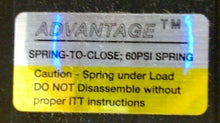 Load image into Gallery viewer, ITT 2-2406-TM-31-A216-SSBOLT:Y 2" DIA-FLO DIAPHRAGM VALVE ADVANTAGE *FREE SHIP*