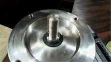 Load image into Gallery viewer, Marathon Powerwash Washdown Motor 56T17VD5331 1740RPM .75HP 3 Phase FREE SHIP