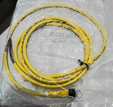 Load image into Gallery viewer, AB ROCKWELL 889R-F3AEA-2 QD CORDSET SER B AC MICRO FEMALE STRAIGHT 2 M *FREE SHP