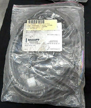 Load image into Gallery viewer, BALLUFF BKS-S51-04 TRANSDUCER CABLE 250VAC 7 PIN 8FT SHIELDED *FREE SHIPPING*