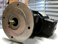 Load image into Gallery viewer, GEORGII KOBOLD KOD 425/S59 0.25KW 230/400V 2800RPM GEAR MOTOR 034149 TYP FF50 FS
