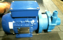Load image into Gallery viewer, FINISH THOMPSON DB3P-M612 POLYPROPYLENE MAG DRIVE PUMP 1/8HP 115V 1PH 60PSI 90W
